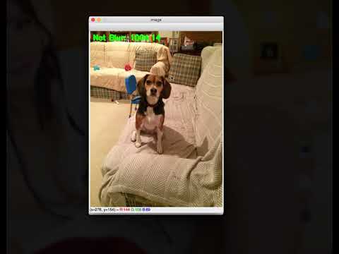 Blur Image Detection