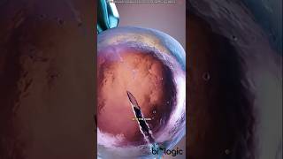 🧬👶 IVF(In Vitro Fertilization ) Explained in 60 Seconds!