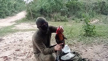 Cuab qaib qus 9/4/2020 ສົນໃຈລຳໂພງໂທ 020 59997992