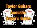 Taylor Guitars Acoustic Buyer's Guide