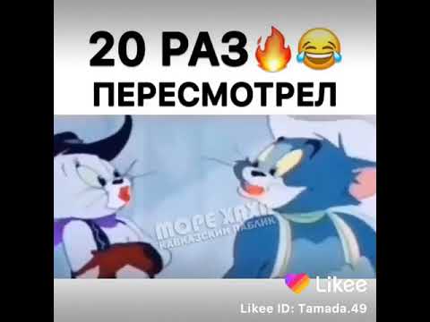 Томи чери точики
