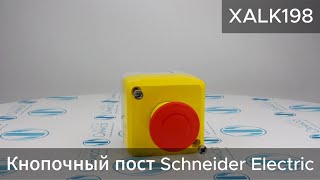 XALK198 Кнопочный пост Schneider Electric - Олниса