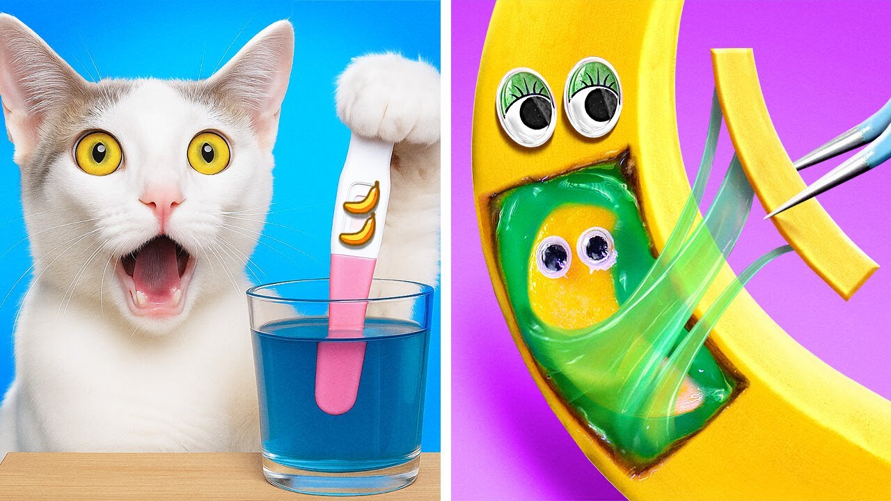 Banana Drama! 🍌 Kitten’s Wild Rescue Mission + Crazy Pet Hacks by 123GO!