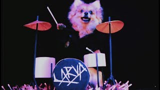 Larva - Para Alan (Oficial)