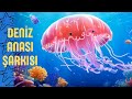 Denizanası Şarkısı | Bebeklere, Çocuklara Öğretici ve Eğlenceli Şarkı