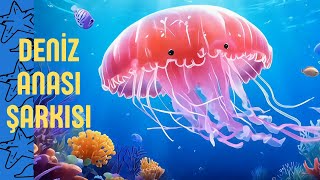 Denizanası Şarkısı  Bebeklere, Çocuklara Öğretici Ve Eğlenceli Şarkı