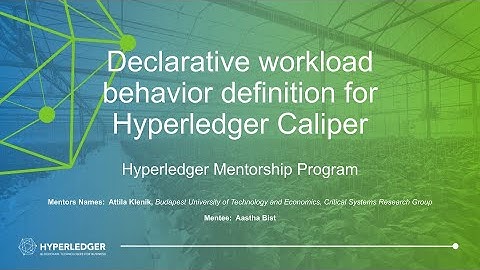 Declarative workload behavior definition for Hyperledger Caliper
