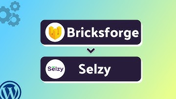 Integrating Bricksforge with Selzy | Step-by-Step Tutorial | Bit Integrations