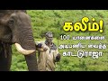 கலீமும் நானும் அண்ணன் தம்பி | Elephant Story | Suda Suda