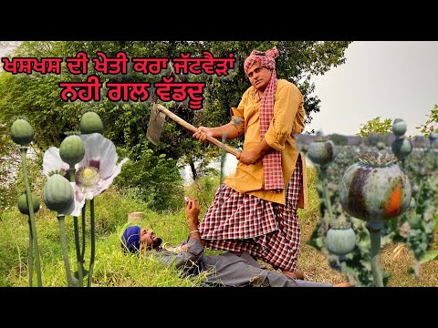 Jattwedh Di Bali (ਬਲੀ ਦੇਣੀ ਆ ਅੱਜ ਚਿਆਚਾ ਜੀ ਦੀ) Bhaanasidhu Bhanabhagudha New Punjabi Comedy Movie