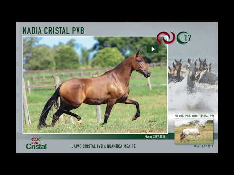 Nadia Cristal PVB
