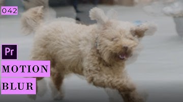 How to add a motion blur to videos in Premiere Pro