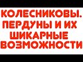 КОЛЕСНИКОВЫ//ПЕРДУНЫ И ИХ ШИКАРНЫЕ ВОЗМОЖНОСТИ//ОБЗОР ВИДЕО