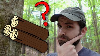 How Many Cords of Firewood Are In a Tree? Quick Volume Estimates