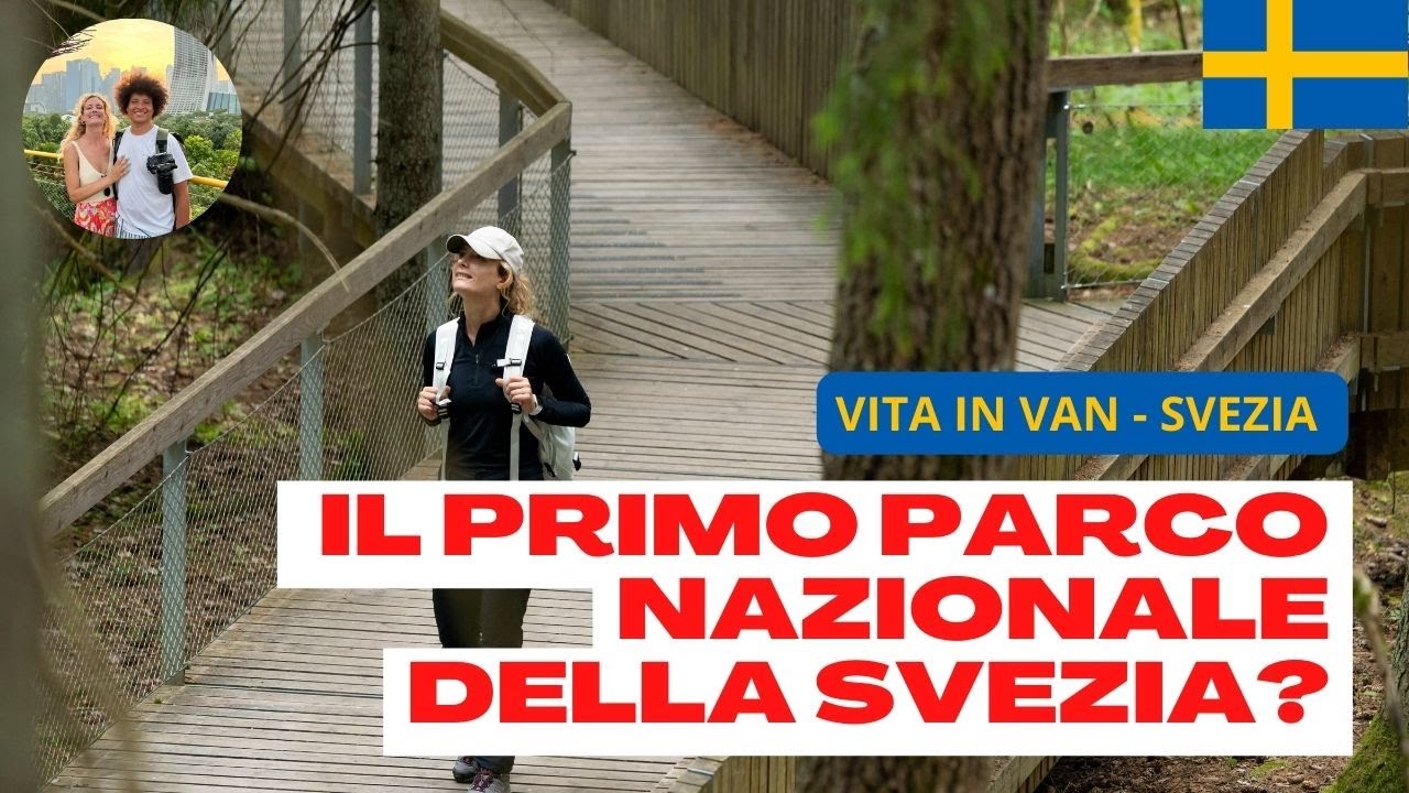 Il primo parco nazionale della Svezia - Svezia in camper 🫎☘️