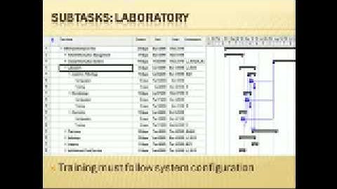 Implementation of an EHR using MS Project