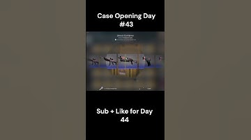 Opening a Case Until I Get a Knife Day #43