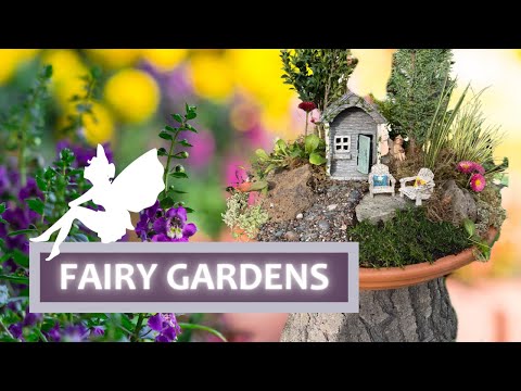 Video: Fairy Gardens - How To Make Your Garden Into A Fairy Sanctuary - Gardening Know How