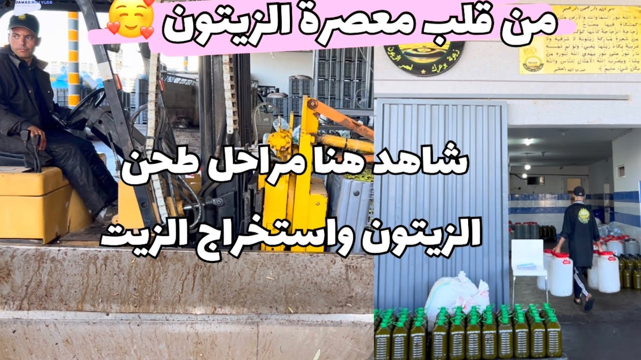 Olive milling season 🫒🥰 Follow with me the stages of olive milling and oil extraction 😍😍