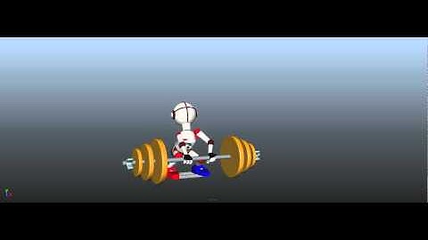3D Animations - Weightlifting