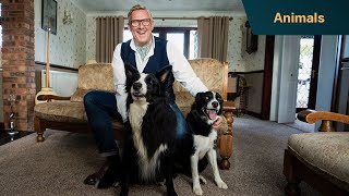 These heartwarming pups put Graeme Hall to work | Dogs Behaving (Very) Badly by Channel 5 613 views 4 days ago 3 minutes, 34 seconds