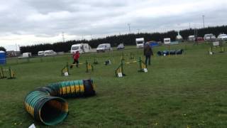 Jo and Ice Win 6/7 Jumping WBSDS April 2016