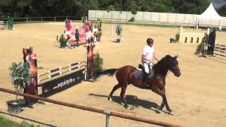 Henrich Mock A Ebi 2 Rs Team Trophy 3 Kolo Parkúr 115 Cm