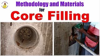 Methodology and Materials for Core Filling