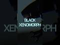 I built this Black Xenomorph Alien from Lego