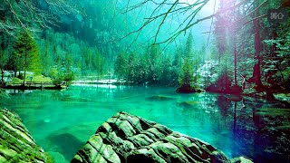 Download Lagu Does this feels Relaxing? Evergreen Relaxing Piano Music For Deep Relaxation \u0026 Sleep | Fall Asleep MP3