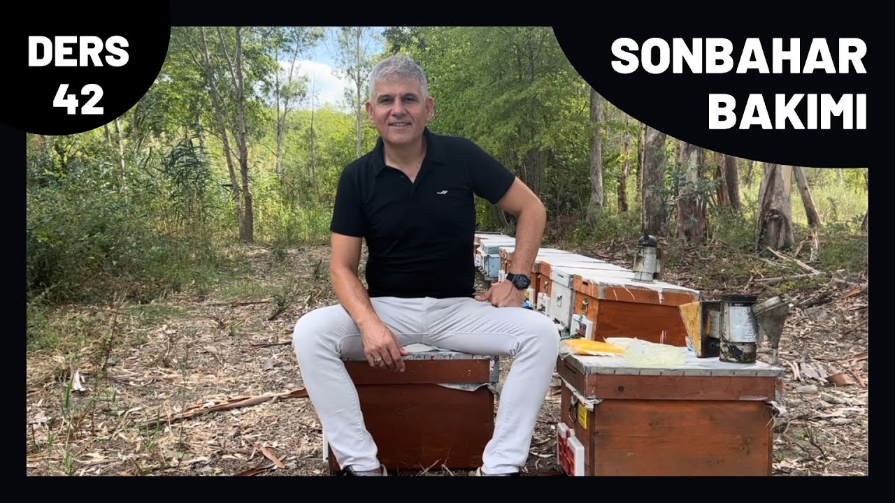 ARICILIKTA SONBAHAR BAKIMI & PÜF NOKTALARI