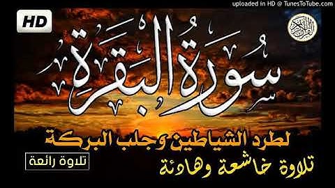 سورة البقرة - تلاوة هادئة تريح الاعصاب  قران كريم   -  صوت  يشرح الصدر