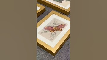 Custom framing picture frames art modern Memory Design Picture Frames shop in Hasbrouck Heights New