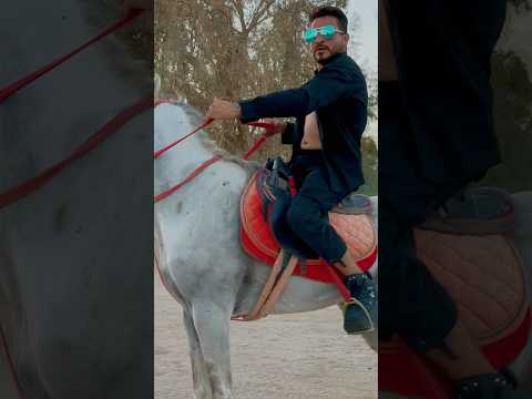 الأغنية اللي كل الناس بتدور عليها اثبت حضور باسم بلدك أحسن بلد في الصعيد البرنس رضا