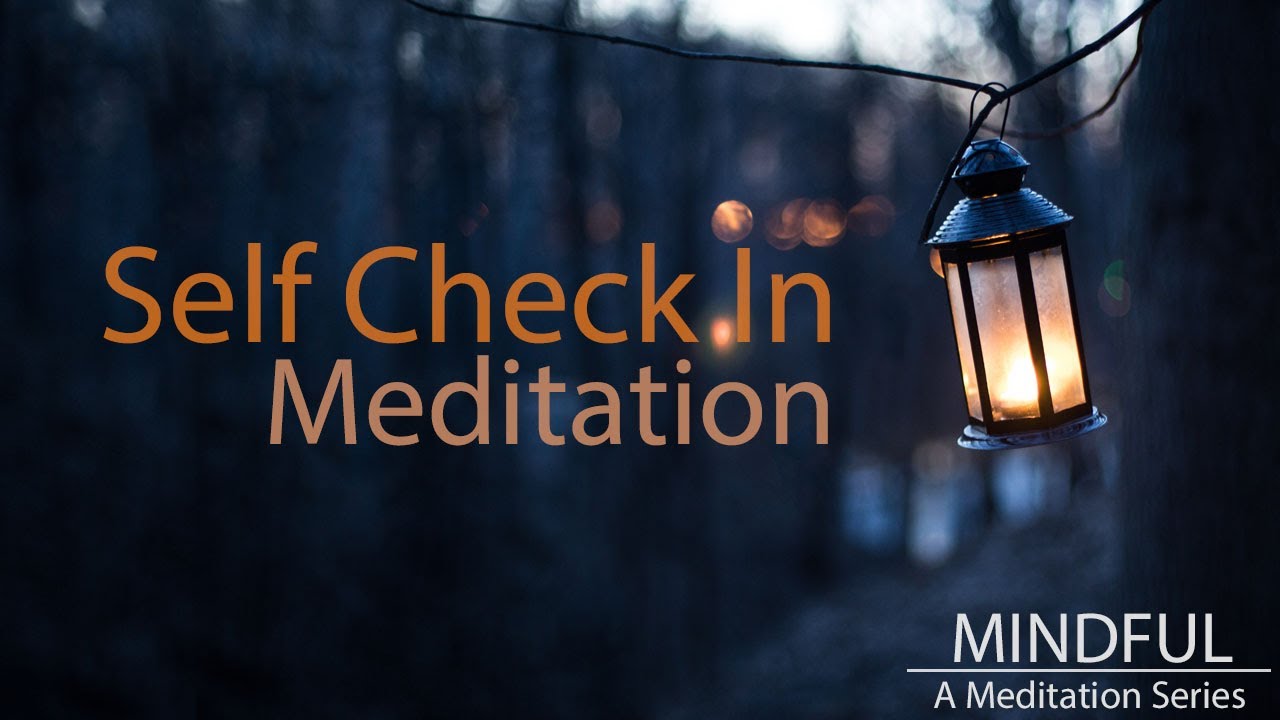 Mindful: A Meditation Series (Guided Meditation for Self Check In)