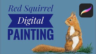 Red Squirrel | Procreate Digital Painting | Time-lapse
