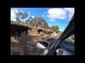 Uralla Road trip