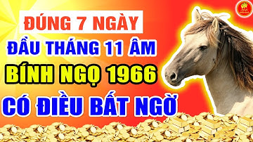 Đúng 7 Ngày Đầu Tháng 11 Âm Lịch Bính Ngọ 1966 Có Điều Bất Ngờ