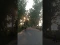 @Kohara Road TMK