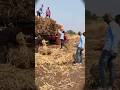 कॉलेज सुटल्यावर मित्राला शेतात मदत करायला गेलो 🚜  #friends #trending #shorts #farmer  #frendsforever