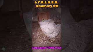 Жгучий Пух - Мод Anomaly VR#stalker#stalkervr#stalkeranomaly#stalkeranomalyvr#vr#vrfail#vrfun