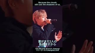 Video thumbnail of "SF9 🌼🧡 로운 Rowoon & 인성 Inseong  - マリーゴールト Marigold (あいみょん AIMYON) Japan 2019 cover"