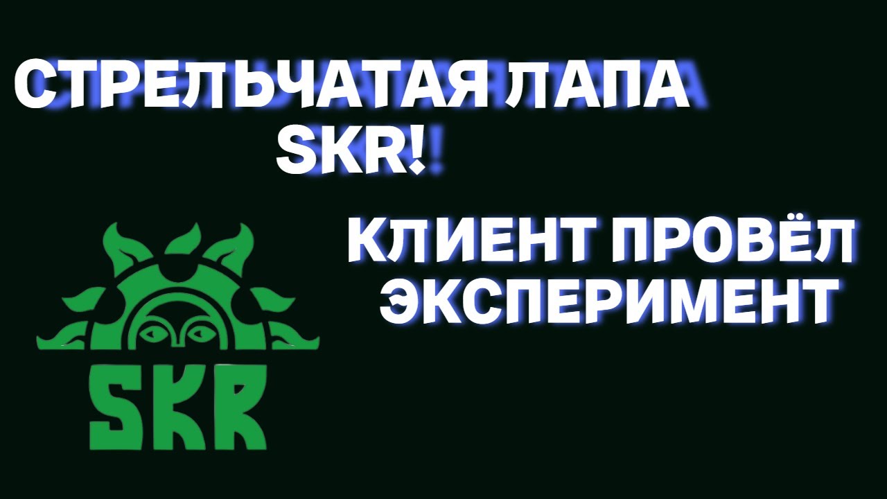 ЛАПА SKR. ТАКОЙ ЭКСПЕРИМЕНТ ПРОВЁЛ НАШ КЛИЕНТ И ОСТАЛСЯ ДОВОЛЕН ...