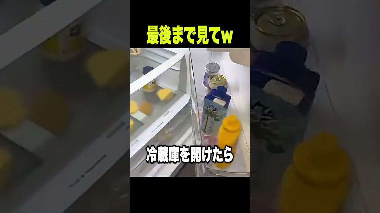 【神回】TikTokにアフレコしてツッコんでみたらヤバかったwwwwwwwwwwww【第1646弾】 #shorts #ボケとツッコミ #爆笑 #tiktok #ツッコミ