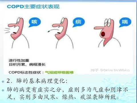《中医启蒙学》第七十九课：介绍肺系统疾病