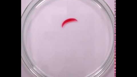 Oscillatory movement of Paraffin droplet with elongation (Film of behavior C_o)