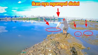 Rezeki tak terduga,,menjala ikan di pinggiran sungai besar hasilnya..waooow/net fishing