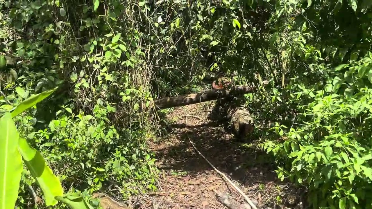 tour en la MURALLA en Olancho 
