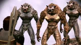 Dragon Age Origins - 25 Nature of the Beast (The Grand Oak and the Mad Hermit)