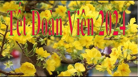 chúc mừng năm mới giáp thìn 2024